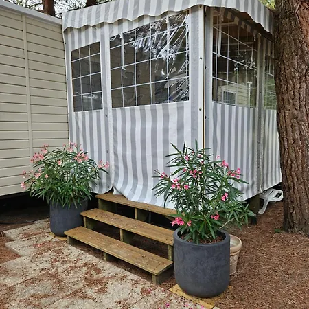 Mobil Home, De Vincent Et Delphine *